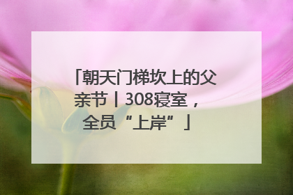 朝天门梯坎上的父亲节丨308寝室，全员“上岸”