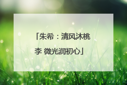 朱希：清风沐桃李 微光润初心