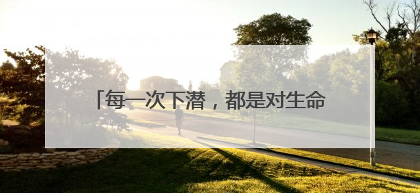 每一次下潜，都是对生命的敬畏｜地平线下的风景