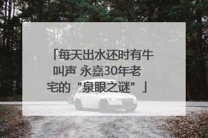 每天出水还时有牛叫声 永嘉30年老宅的“泉眼之谜”