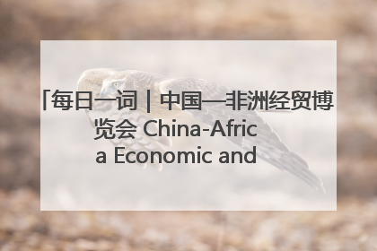 每日一词｜中国—非洲经贸博览会 China-Africa Economic and Trade Expo