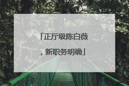 正厅级陈白薇，新职务明确