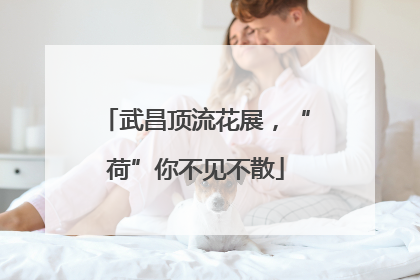 武昌顶流花展，“荷”你不见不散