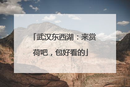 武汉东西湖：来赏荷吧，包好看的