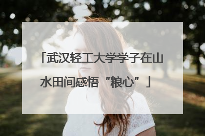 武汉轻工大学学子在山水田间感悟“粮心”