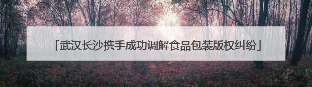 武汉长沙携手成功调解食品包装版权纠纷