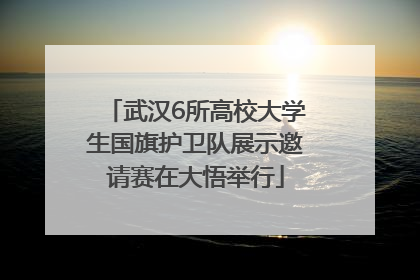 武汉6所高校大学生国旗护卫队展示邀请赛在大悟举行