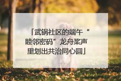 武锅社区的端午“睦邻密码”龙舟桨声里划出共治同心圆