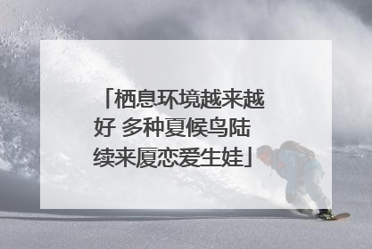 栖息环境越来越好 多种夏候鸟陆续来厦恋爱生娃