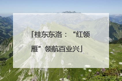 桂东东洛：“红领雁”领航百业兴