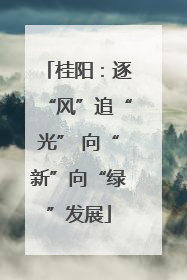 桂阳：逐“风”追“光” 向“新”向“绿”发展