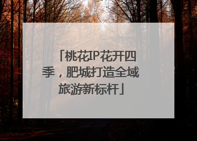 桃花IP花开四季，肥城打造全域旅游新标杆