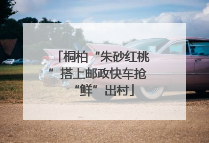 桐柏“朱砂红桃”搭上邮政快车抢“鲜”出村