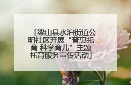 梁山县水泊街道公明社区开展“普惠托育 科学育儿”主题托育服务宣传活动