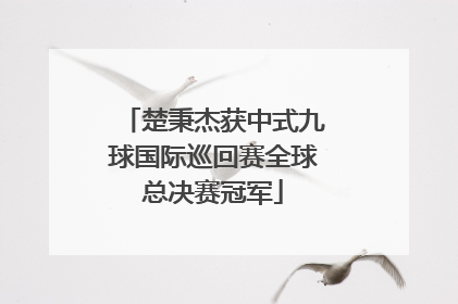 楚秉杰获中式九球国际巡回赛全球总决赛冠军