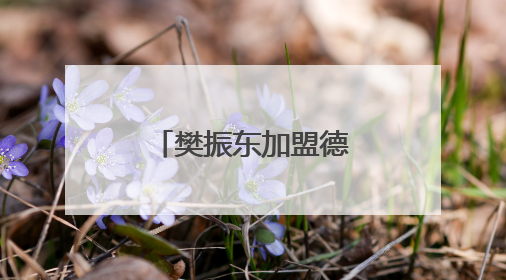 樊振东加盟德甲联赛幕后：德国俱乐部称一切来得太突然