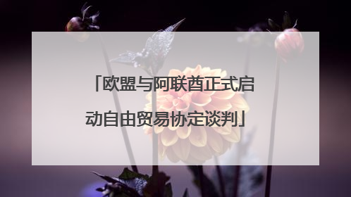 欧盟与阿联酋正式启动自由贸易协定谈判