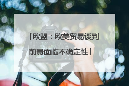 欧盟：欧美贸易谈判前景面临不确定性