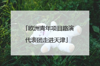 欧洲青年项目路演代表团走进天津