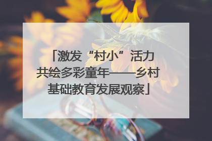 激发“村小”活力 共绘多彩童年——乡村基础教育发展观察