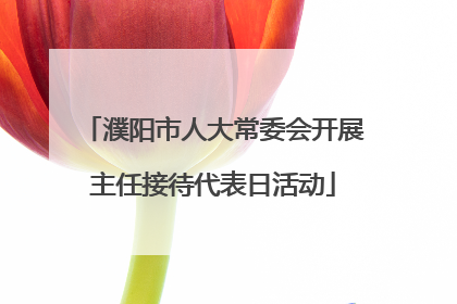 濮阳市人大常委会开展主任接待代表日活动
