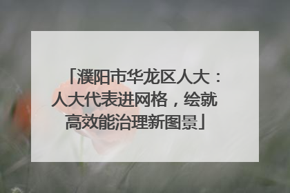 濮阳市华龙区人大：人大代表进网格，绘就高效能治理新图景