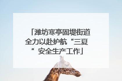 潍坊寒亭固堤街道全力以赴护航“三夏”安全生产工作