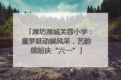 潍坊潍城芙蓉小学：童梦跃动展风采，艺韵缤纷庆“六一”