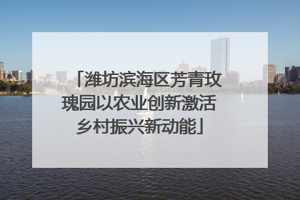 潍坊滨海区芳青玫瑰园以农业创新激活乡村振兴新动能