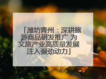 潍坊青州：深耕旅游商品研发推广 为文旅产业高质量发展注入强劲动力
