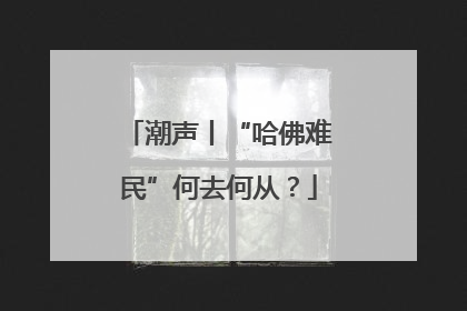 潮声丨“哈佛难民”何去何从？