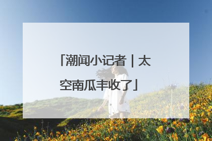 潮闻小记者｜太空南瓜丰收了