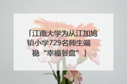江南大学为从江加鸠镇小学729名师生端稳“幸福餐盘”