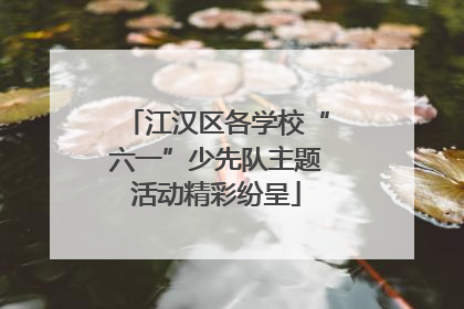 江汉区各学校“六一”少先队主题活动精彩纷呈