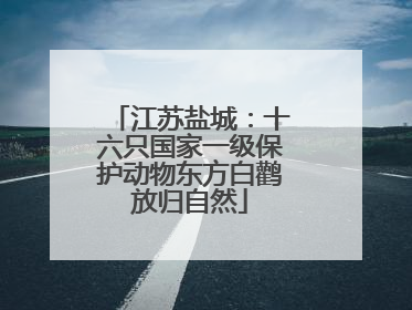 江苏盐城：十六只国家一级保护动物东方白鹳放归自然