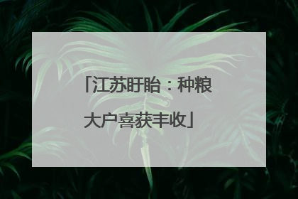 江苏盱眙：种粮大户喜获丰收