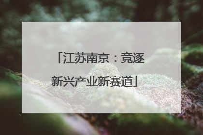 江苏南京：竞逐新兴产业新赛道