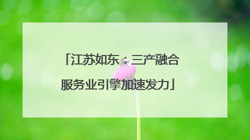 江苏如东：三产融合 服务业引擎加速发力