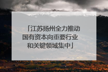 江苏扬州全力推动国有资本向重要行业和关键领域集中