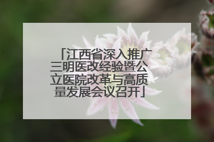 江西省深入推广三明医改经验暨公立医院改革与高质量发展会议召开