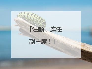 汪顺，连任副主席！