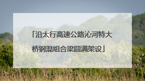 沿太行高速公路沁河特大桥钢混组合梁圆满架设