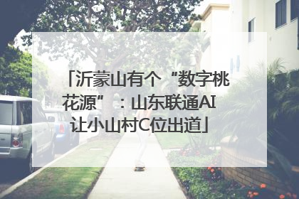 沂蒙山有个“数字桃花源”：山东联通AI让小山村C位出道