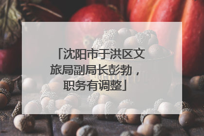 沈阳市于洪区文旅局副局长彭勃，职务有调整