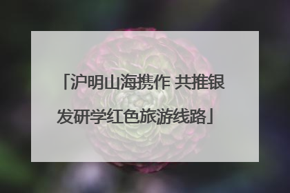 沪明山海携作 共推银发研学红色旅游线路