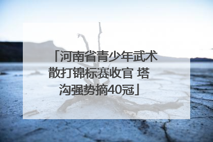 河南省青少年武术散打锦标赛收官 塔沟强势摘40冠