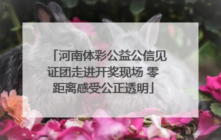 河南体彩公益公信见证团走进开奖现场 零距离感受公正透明