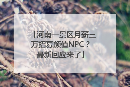 河南一景区月薪三万招募颜值NPC？最新回应来了