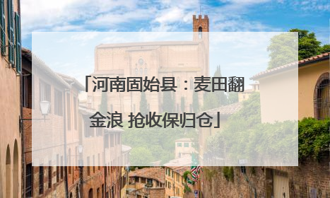 河南固始县：麦田翻金浪 抢收保归仓