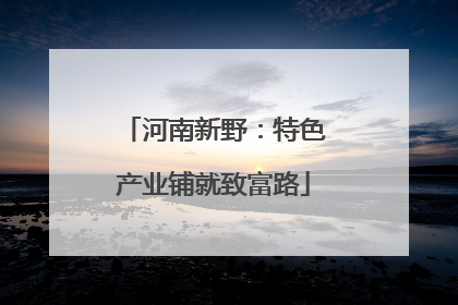 河南新野：特色产业铺就致富路